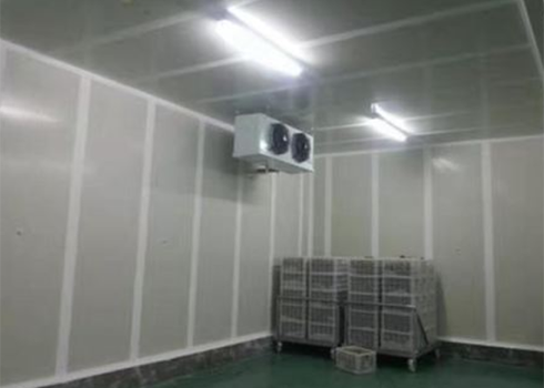 设计建造食品羞羞视频网址安装