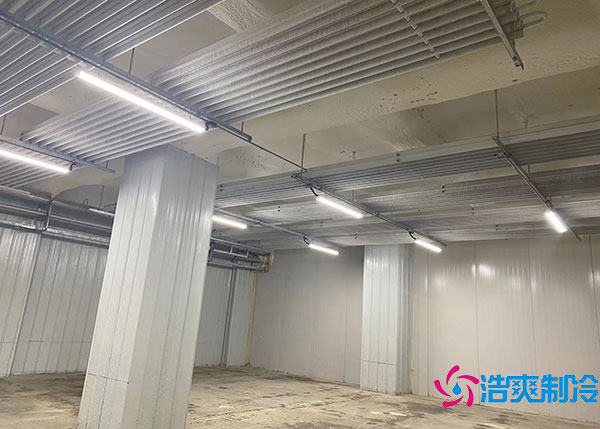 600吨货物需要建造多大的冷藏库？.jpg