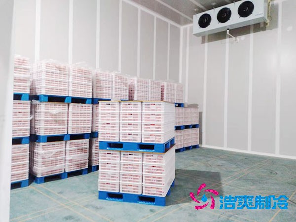 食品保鲜羞羞视频网址设计规范要求标准已更新