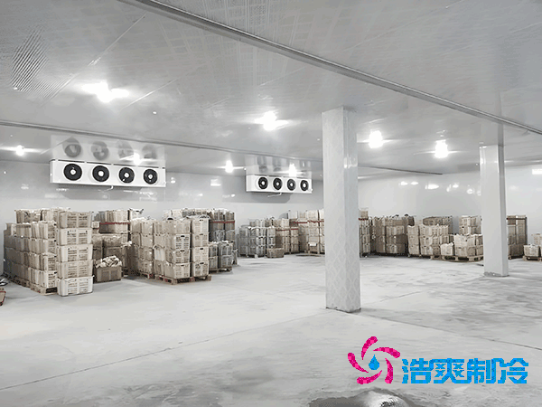 食品冷冻库安装